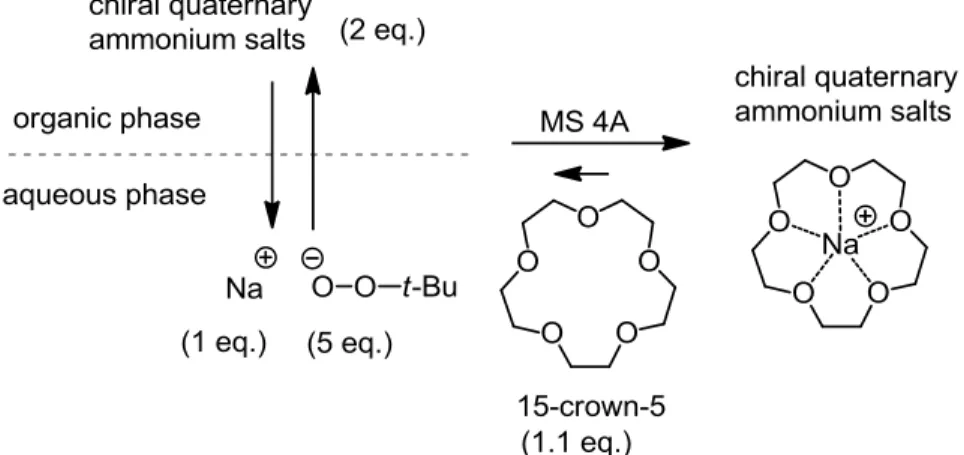 Figure 10  4. (2S,3S,4S)-DHMEQ の純粋な鏡像異性体合成  4-1.  ジアシル化 DHMEQ への誘導 前項で調製した 79.8% ee のエポキシエナミン 16a には、不要な鏡像異性体が 10%ほど 混入した状態にある。このものを再結晶したところ、純粋な鏡像異性体を得ることはで きたものの、目的とする鏡像異性体までもが母液に残ってしまい、結晶の回収率はわず か 8%であった。そこで、すでに確立しているラセミ体合成ルート 54) を参考に、サリチ