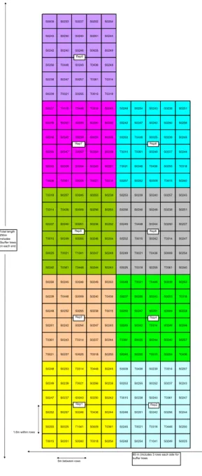図 III-2-2-4  塩害地樹種試験植栽図面 
