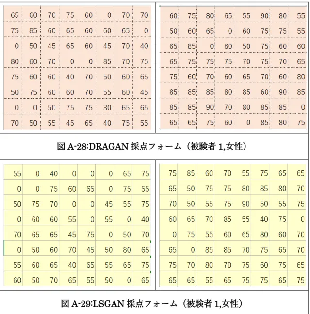 図 A-28:DRAGAN 採点フォーム（被験者 1,女性） 