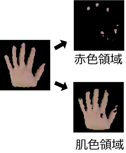 図 4.7: 手領域に含まれる肌色領域と赤色領域