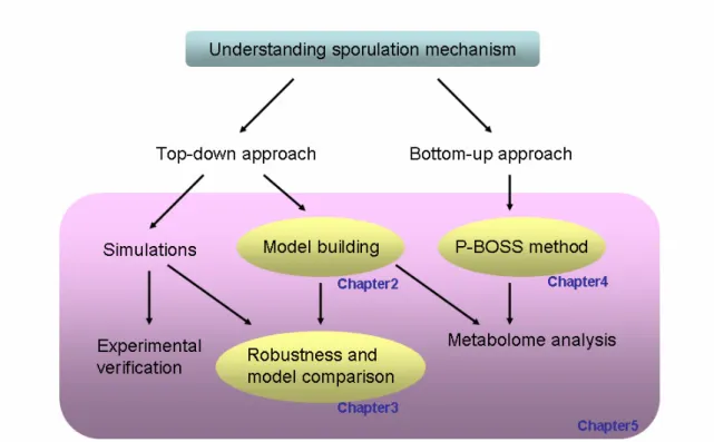 Figure 1: Structure of this thesis. 