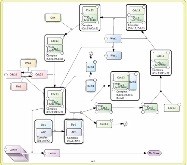 Figure 3: A process diagram representation of MPF cycle. 