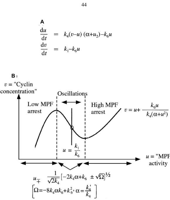 Figure 9: Overview of the reduced, two-equation version of the 1991 model.  
