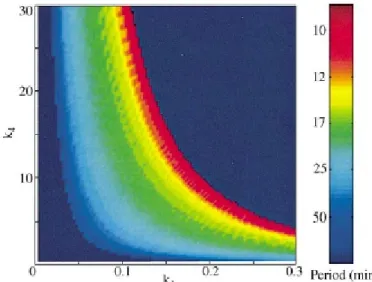 Figure 12 is a plot of the oscillation frequency of the model as a function of  parameters k 1  and k 4 : As expected, the oscillation frequency is zero in the dark-blue  regions corresponding to the two cell cycle arrest states discussed above (low- MPF  