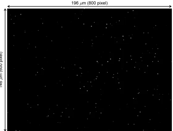 Figure 3.4. Sample images of fluorescent submicron particles with the evanescent wave illu- illu-mination.