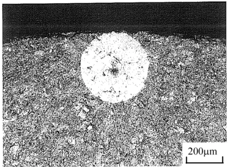 Fig. 1-4  Example of SEM observation of fish-eye fracture sueface [28] 