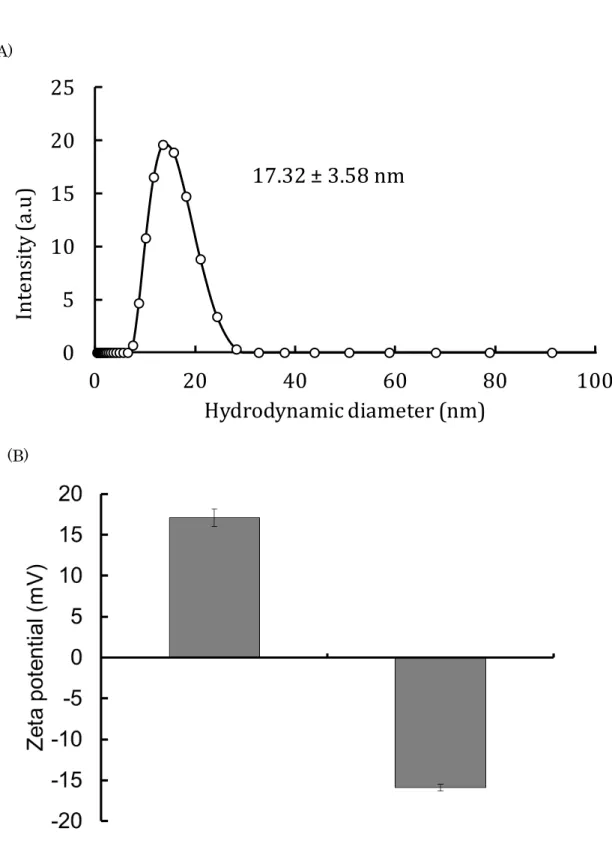 Figure S4 Characterization by Dynamic light scattering  at  25  ˚C  and  pH  7.4  (A)  Hydrodynamic diameter of SA (B) Zeta potential of PLL and  PLL-DDSA-SA