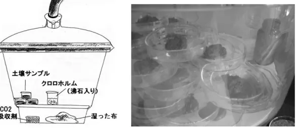 Fig6  クロロホルムくん蒸装置  3.4.3.  全有機炭素（TOC）測定 11) 3.4.3.1.  原理      試料に塩酸を加えて酸性（pH3 以下、pH2～3 が適切）にしたあと、スパージガスを通 気することにより、試料中の無機態炭素（IC）は二酸化炭素となり試料中から除去され る。このように IC が除去されたあとの試料の全炭素（TC）を測定することにより、全有 機体炭素（TOC）を求めることができる。試料が燃焼管内に注入されると、試料中の TC が燃焼あるいは分解して二酸化炭素になる。二酸