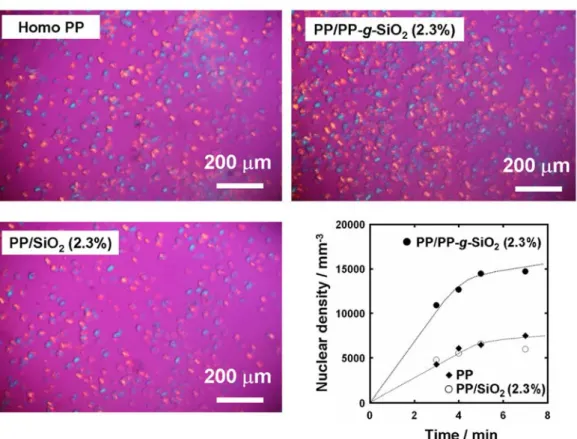 Fig. 5    DSC curves for isothermal crystallization at 128C 