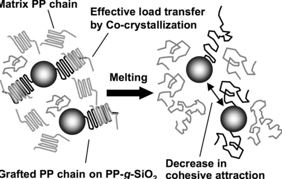 Fig. 11    Schematic image of PP/PP-g-SiO 2  in solid and molten states 