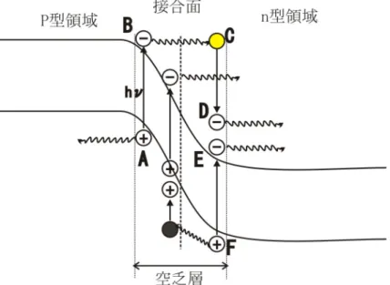 図 2.6: APD の検出面付近の構造