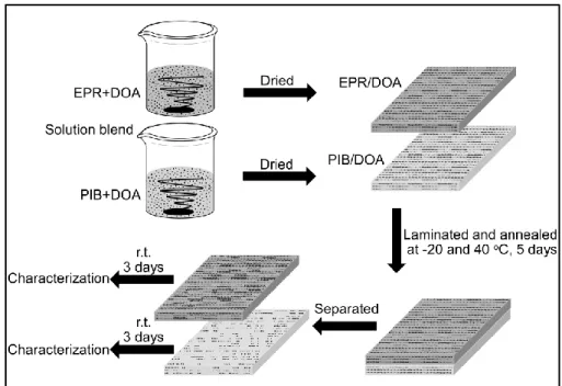 Fig. 1 Schematic illustration of experimental procedure. 