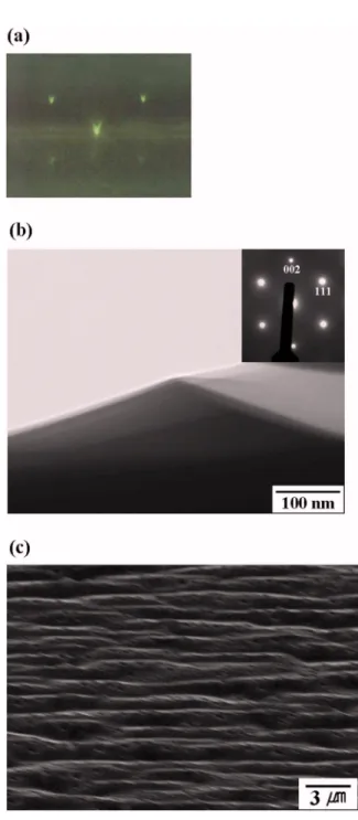 Figure 4共c兲 is a SEM image of the surface of sample 11 which shows highly developed faceted surfaces