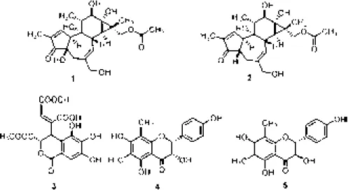 Fig  1.  Structures  of  the  new  compounds  isolated  from  Sapium  insigne  (1-3)  and  Diplomorpha  canescens (4,5)