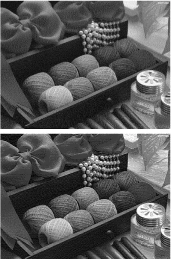 Figure 3 shows experimental results for “Wool” to compare our algorithm with error diﬀusion