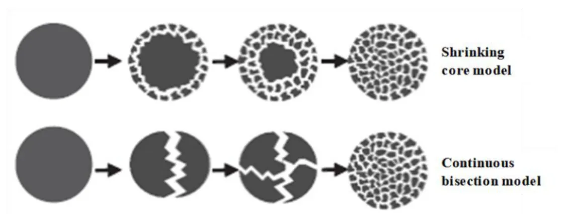 Figure 10    Two types of the fragmentation of catalyst [58] 