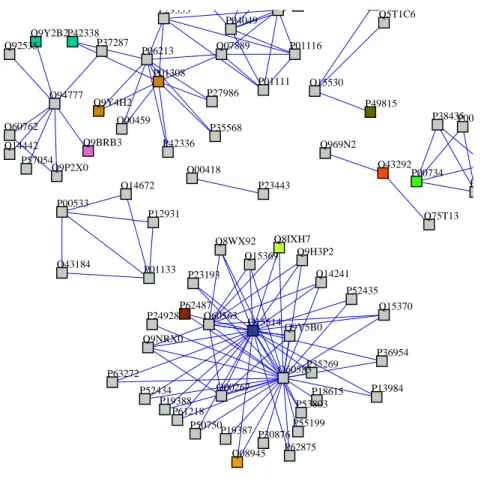 Fig. 2 Protein interaction networks of the five testing processes.