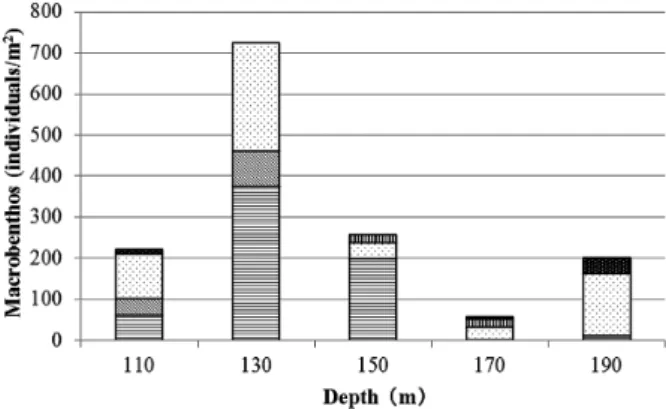 Fig. 5 Particle size composition of bottom sediment at each  depth.