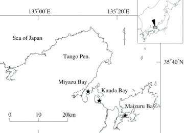 Fig. 1 Sampling sites : Maizuru, Kunda and Miyazu Bays.