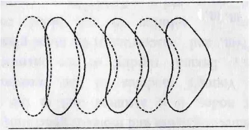 図  楕円形状の赤血球変形 ()
