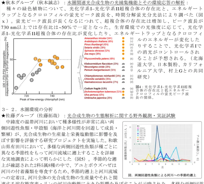 図 4 ：光 化 学 系 I– 光 化 学 系 II 超 複 合 体 の 存 在 比 と 低 エ ネ ル ギ ー ク ロ ロ フ ィ ル の 蛍 光 ピ ー ク 波 長 の 関 係 。