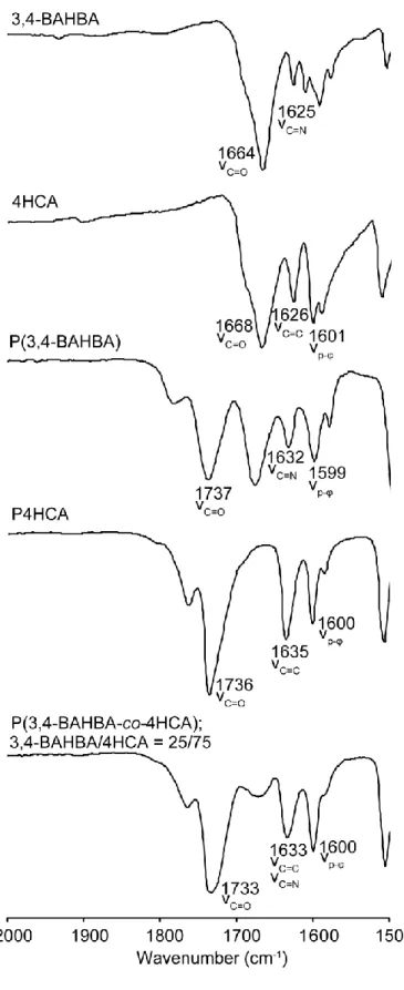 Figure 1. FT-IR spectra of the monomers and polymers. 