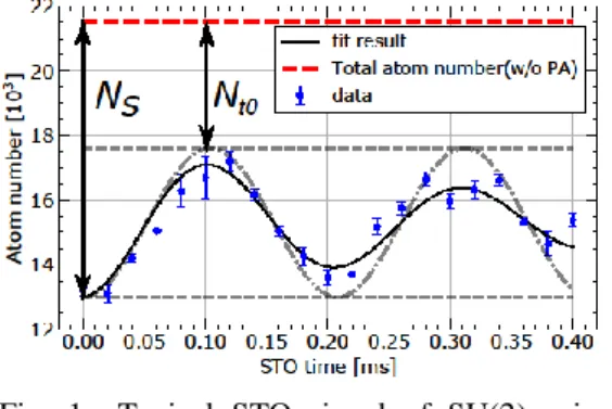 Fig.  1    Typical  STO  signal  of  SU(2)  spins. 