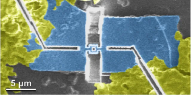 Fig. 1. False-color scanning ion microscope  image of a Sr 2 RuO 4  micro-ring. The blue region  is a Sr 2 RuO 4  single crystal, and the yellow  regions are the electrodes made with silver paint