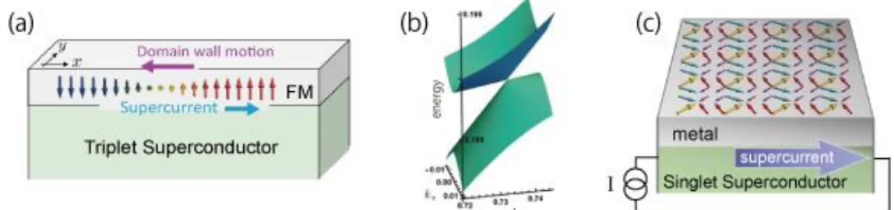Fig. 1. (a) Domain wall dynamics in a ferromagnet (FM) driven by a triplet supercurrent