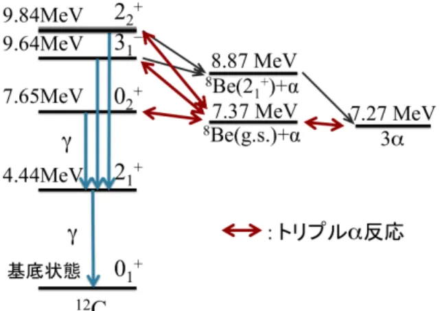 Fig. 1. Schematic diagram of the triple α reaction. 