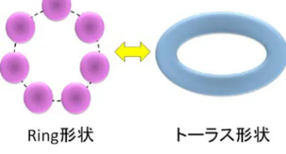 Fig. 1. The schematic figure of alpha ring and torus. 