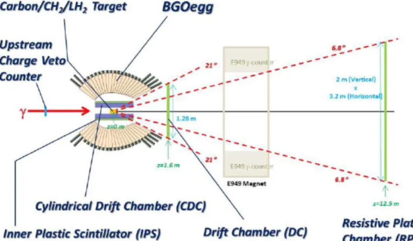 Fig. 1 Beam Polarization. 