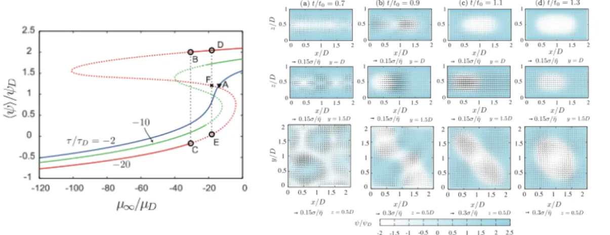 Fig. 2. Cross  sectional  velocity  field    