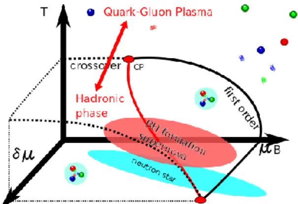 Fig. 1. Phase diagram of asymmetric nuclear matter   