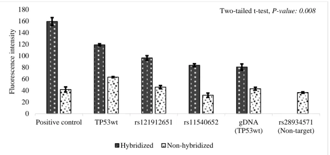 Figure 1. Analysis of hybridization fluorescence. Fluorescence intensity of positive control, TP53wt, 