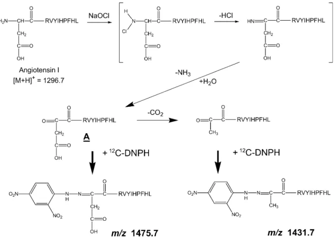 Fig. 5. Reaction scheme for generating ions at m/z 1431.7 (peak 2 in Fig. 2) and m/z 1475.7 (peak 4 in Fig