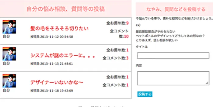 Figure 5 Questioner’s page 