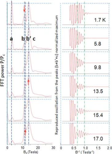 FIG. 4. Temperature dependent FFT spectra of d 2 q xx /dB 2 (normalized by the peak c height, left panel) and corresponding oscillations reproduced from the peak (bþ b 0 þ c) via inverse FFT (normalized by the maximum amplitude, right panel) in the t QW ¼ 