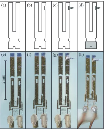FIG. 2. (a) Resonance frequency shift (Df) image of Si(111)-7  7 in a con- con-stant height mode observed with a retuned fork sensor