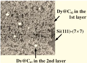 FIG. 4. 共 a 兲 STM images for ⬃ 0.01 ML of Dy@C 60 adsorbed on the Si(111)-(7 ⫻ 7) surface (40 ⫻ 20 nm 2 )