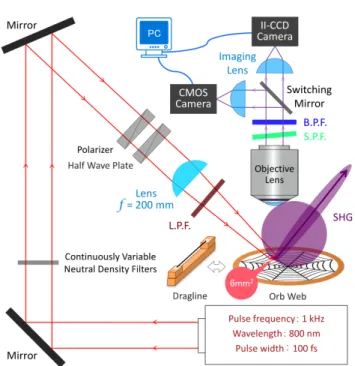 Fig. 3 Experimental setup. SHG microscopy system. A CMOS camera (Lumenera Corp., Lu135M) was used for  aim-ing