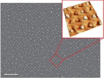 FIG. 1. (a) STM images of the Si(111) after wet cleaning and passivation out of the patterned area