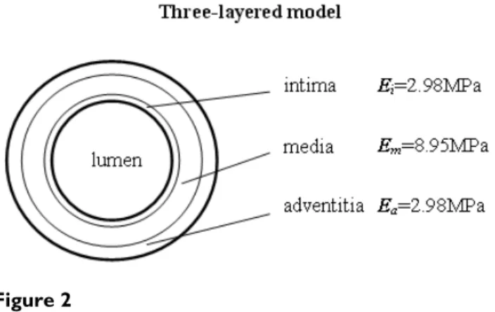 Fig. 1 shows the circulatory system; the blowup is the FEM model of the aorta. The finite element analysis model of the aorta was made of 38400 eight-node brick elements for the solid domain and 26880 eight-node brick  ele-ments for the fluid domain