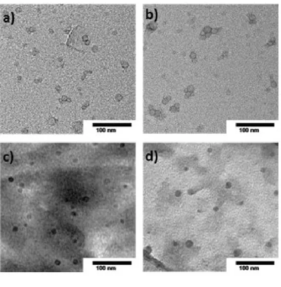 Figure 2. Particle size characterization of prepared micelles by transmission electron microscopy