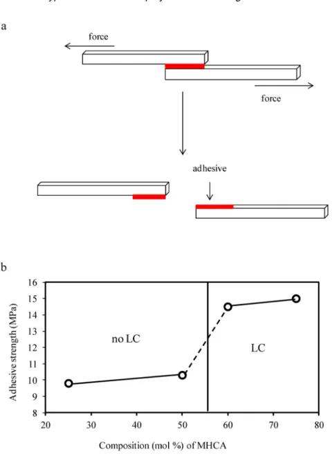 Fig. 5 (a) Polymer glue was sandwiched between two substrates and pulled to failure. (b) Mechanical fracture strength,  σ , of poly(DHCA-co-MHCA)s resin glued substrates on carbon substrate.