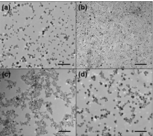 FIG. 1. TEM images of AZO NPs synthesized under different input molar ratios of Al 共 acac 兲 3 共 a 兲 0 mol %, 共 b 兲 2.5 mol %, 共 c 兲 5.0 mol %, and 共 d 兲 10 mol %