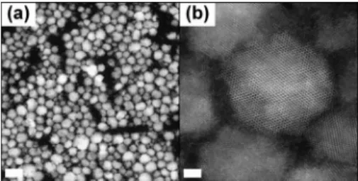 FIG. 7. HAADF images of AZO NPs 共 10 input mol % 兲 . 共 a 兲 low- low-magnification 共 bar 20 nm 兲 and 共 b 兲 high-magnification 共 bar 2 nm 兲 .