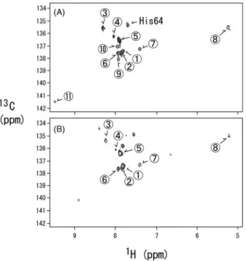 FIGURE 7. A, the 13 C/ 1 H HSQC spectrum of holo-hCAII selectively enriched with [ring-C ⑀1 - 13 C]His at pH 7