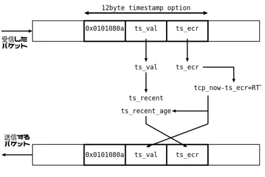 図 2.2: TCP Time Stamp Option