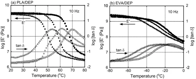 Figure 3 shows the dynamic mechanical properties for the blends with DBP. The 